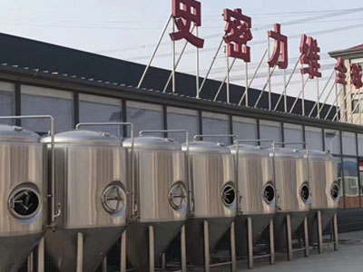 北碚精酿啤酒设备厂—如何判断精酿啤酒设备的密封件需要更换？